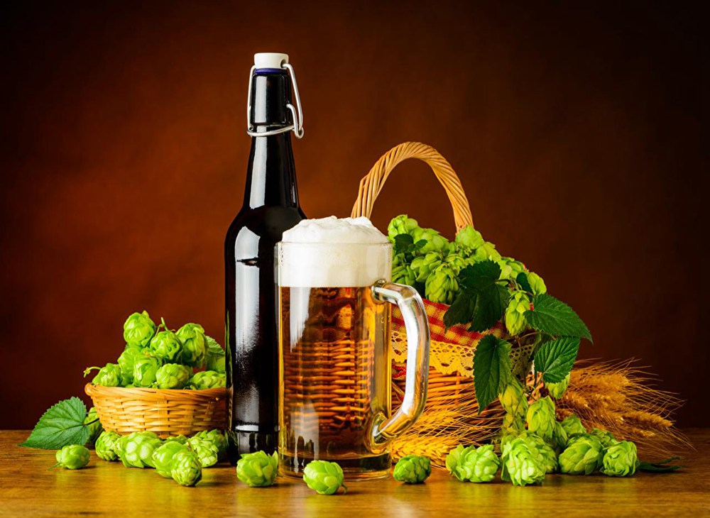 beer, craft beer, pub, bar,brewery equipment, beer equipment, brewhouse system, fermenter,fermentation tank